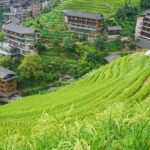 Rice Terraces: A Timeless Harmony Between Nature and Agriculture