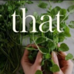 Discover Inner Balance Through Alma Wellness Therapy Practices