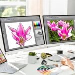 Vector Art Conversion Services: Everything You Need to Know