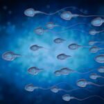 Sperm Freezing: A Strategic Approach to Male Fertility Preservation