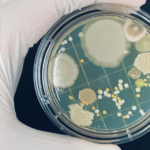 Agricultural Microbials Market Size, Trends & Forecast 2035