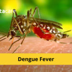 Warning Signs of Dengue Fever and Its Symptoms