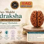 Two Mukhi Rudraksha Benefits and How to Identify an Original Rudraksha