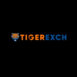 SilverExchange: Everything You Need to Know About the Online Platform