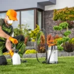 Professional Pest Control Services Islamabad: Smart Prevention Strategies for a Cleaner, Safer Property