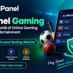 AllPanel Gaming Exploring Online Gaming Features and Digital Entertainment