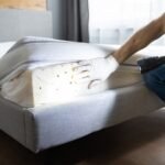 Effective Ways to Manage Bed Bug Problems at Home
